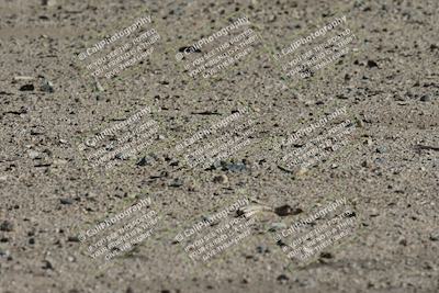 media/Oct-26-2025-Race Pace (Sun) [[c1447ca738]]/Verified/9-Turn 9 (130pm)/